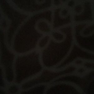 Meet your Posher, Janet